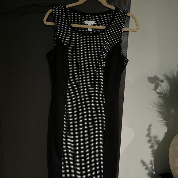 CHARTER CLUB SLEEVELESS A-LINE SHEATH BLACK WHITE WORK EVENT DRESS WOMEN SIZE 4 - Picture 1 of 16